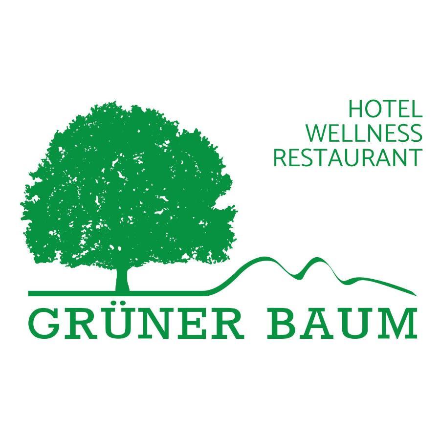 Hotel Gruener Baum Mit Restaurant & Wellness Oberzent Exterior foto