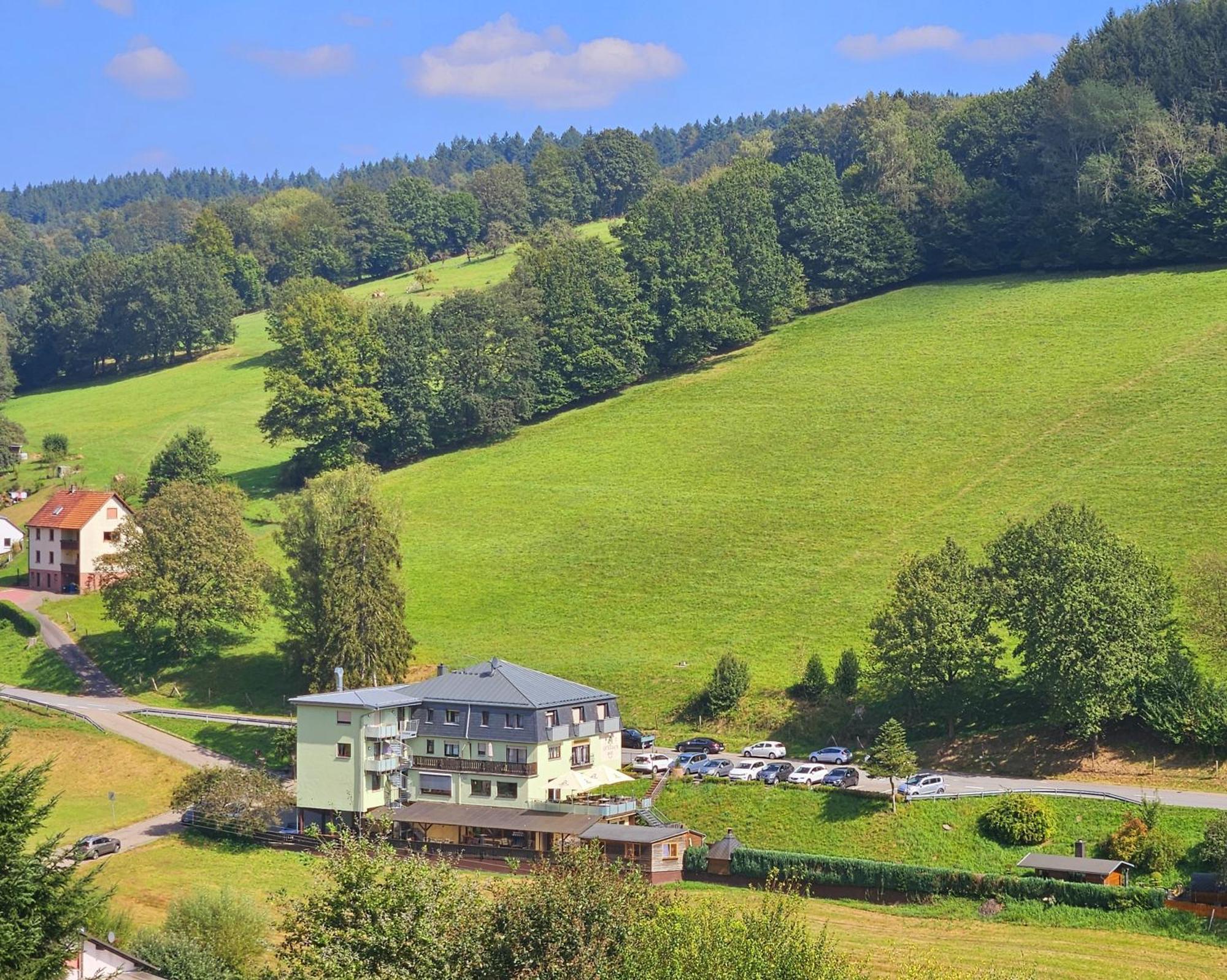 Hotel Gruener Baum Mit Restaurant & Wellness Oberzent Exterior foto
