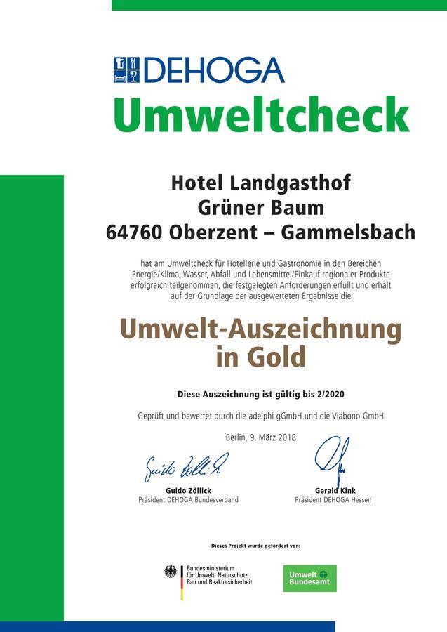 Hotel Gruener Baum Mit Restaurant & Wellness Oberzent Exterior foto